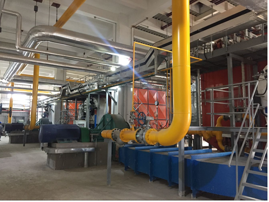 上海青浦工業(yè)園區(qū)能源供應(yīng)中心熱力工程三臺50TH應(yīng)急鍋爐